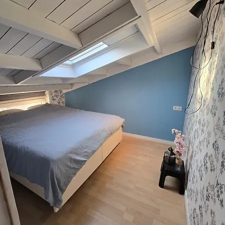 Comfortable And Conveniently Located Apartment