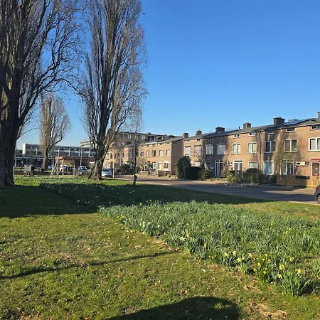 Comfortable And Conveniently Located Arnhem